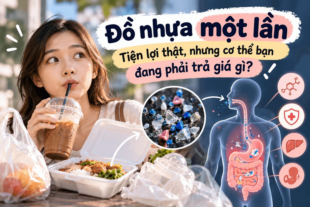 Single Use Plastics Hidden Health Risks