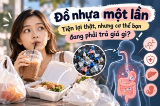 Single Use Plastics Hidden Health Risks