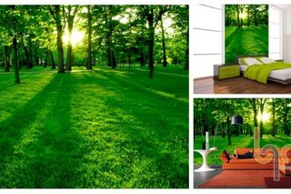 Giay Dan Tuong 3 D Phong Canh750x500